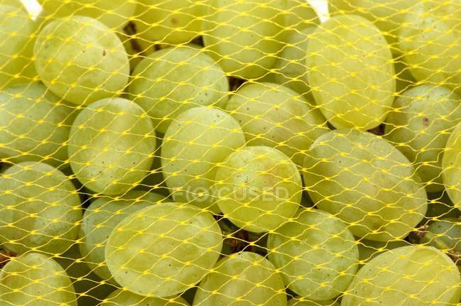 Raisins verts en filet — Photo de stock