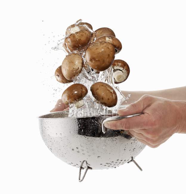 Человек стирает коричневые грибы — стоковое фото