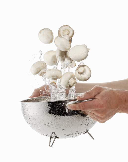 Человек стирает грибы — стоковое фото