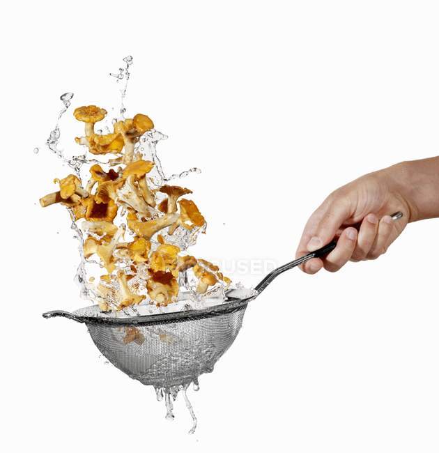 Human hand washing chanterelles in colander on white background — Stock Photo