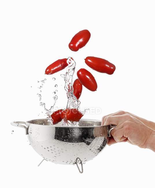 Washing plum tomatoes — Stock Photo