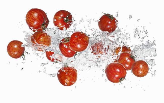 Тигриные помидоры с брызгами воды — стоковое фото