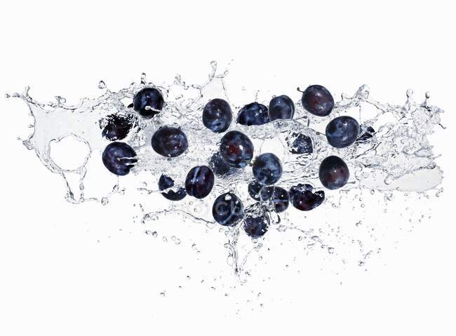 Plums with water spalsh — Stock Photo