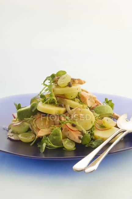 Potato salad with trout and grapes — Stock Photo