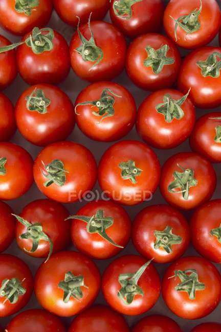 Tomates Roma rouges mûres — Photo de stock