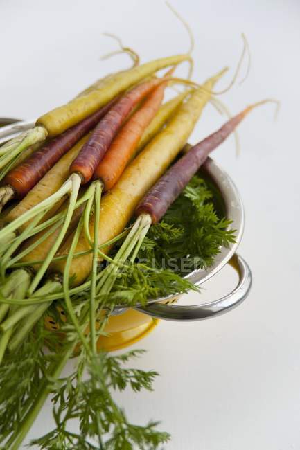 Жовта і антонінова морква — стокове фото