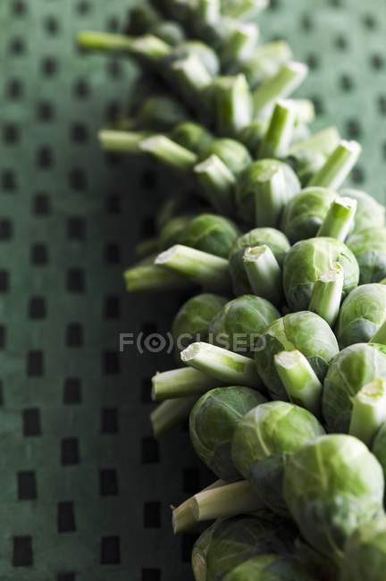Зелений Брюссельська капуста — стокове фото