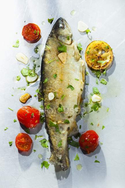 Fried trout with herbs — Stock Photo