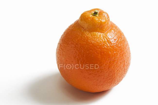 Whole Navel Orange — Stock Photo
