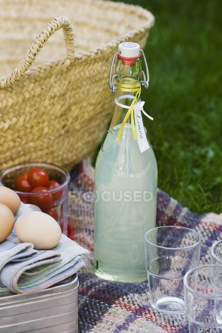 Vista ravvicinata della sistemazione picnic con limonata fatta in casa — Foto stock