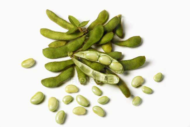 Fresh Soybeans with pods — Stock Photo