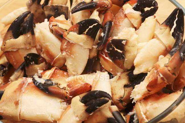 Closeup view of Irish crab claws heap — Stock Photo