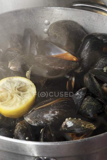 Mexilhões irlandeses cozidos no vapor com limão — Fotografia de Stock