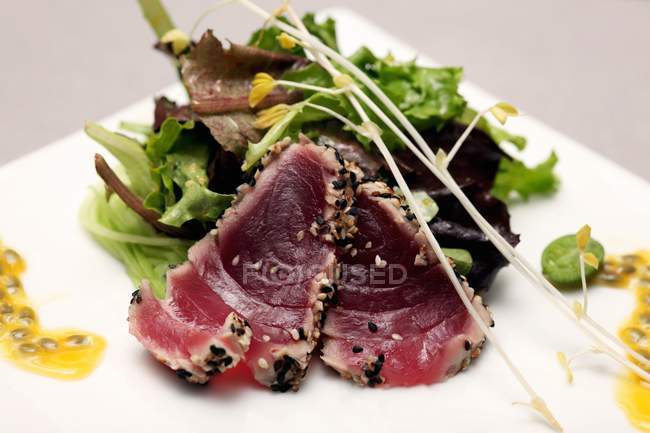 Жареный тунец с салатом из листьев — стоковое фото