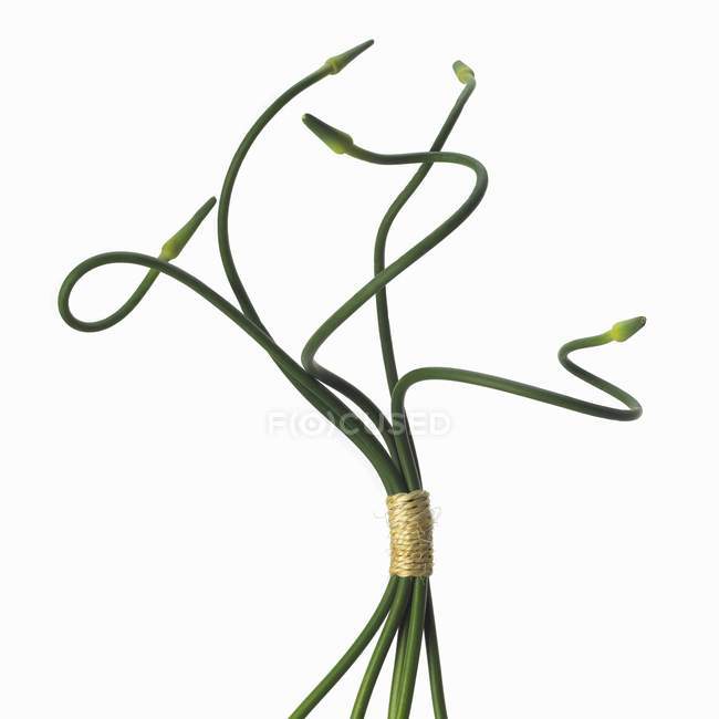Garlic Scapes Ties with Twine on a White Background — Stock Photo