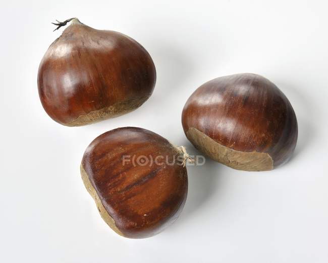 Marrons comestibles entiers — Photo de stock