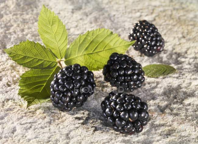 Ripe blackberries and leaves — Stock Photo