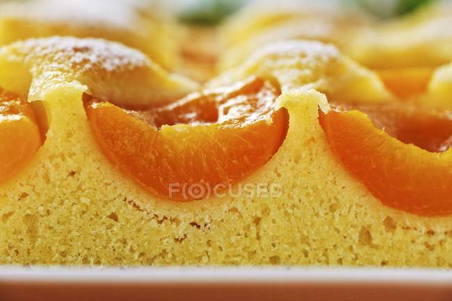 Apricot tray bake cake — Stock Photo