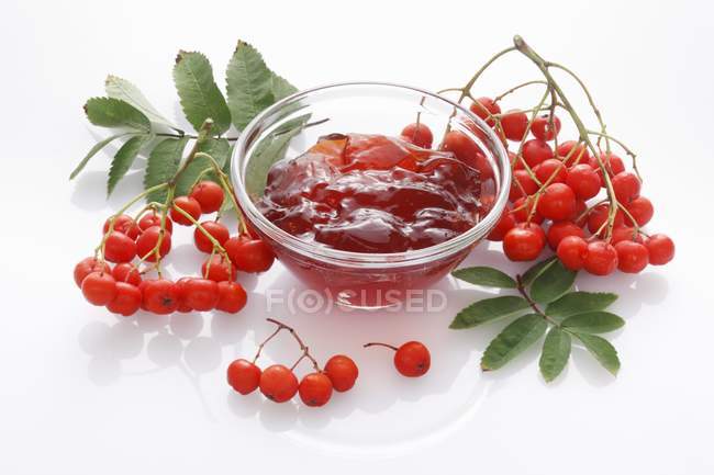 Rowan berry jelly — Stock Photo