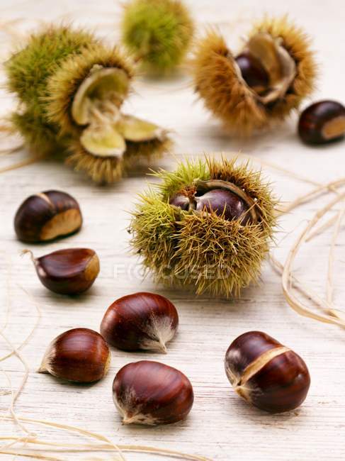 Sweet chestnuts with prickly cases — Stock Photo