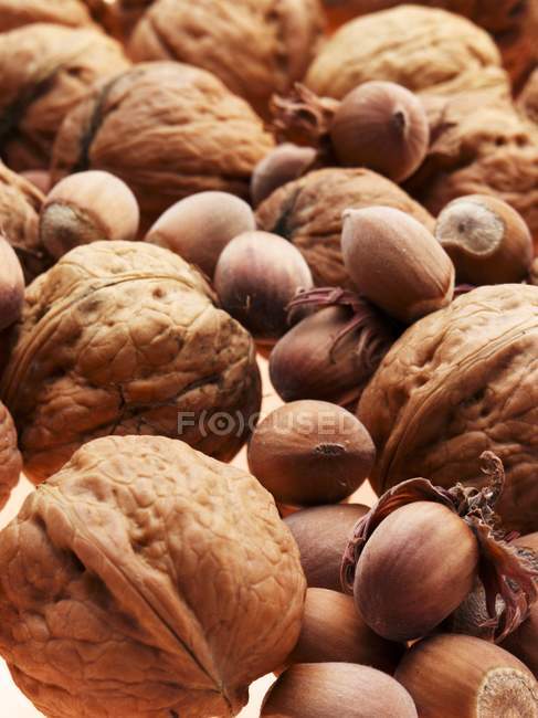 Куча грецких орехов и фундуков — стоковое фото