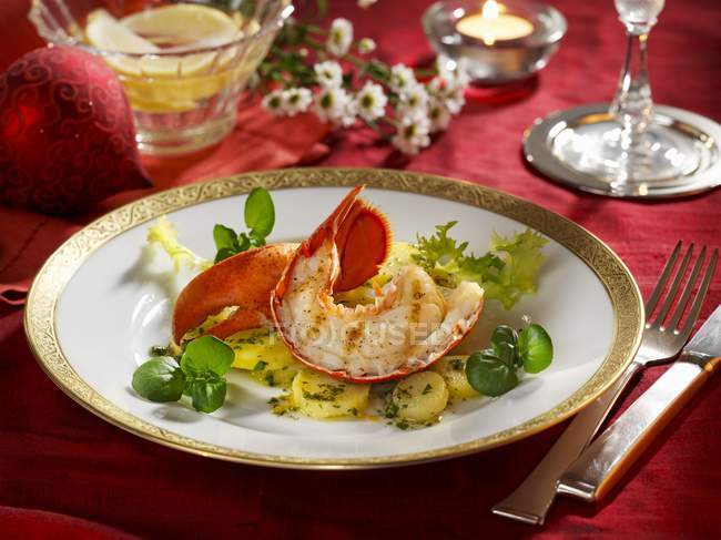 Closeup view of halved lobster on parsley and potatoes — Stock Photo