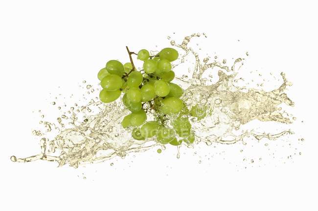 Uvas verdes con salpicadura de vino - foto de stock