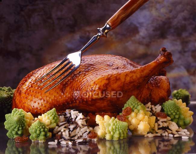 Pato asado y arroz silvestre - foto de stock