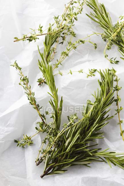 Fresh Sprigs of Rosemary and Oregano — Stock Photo