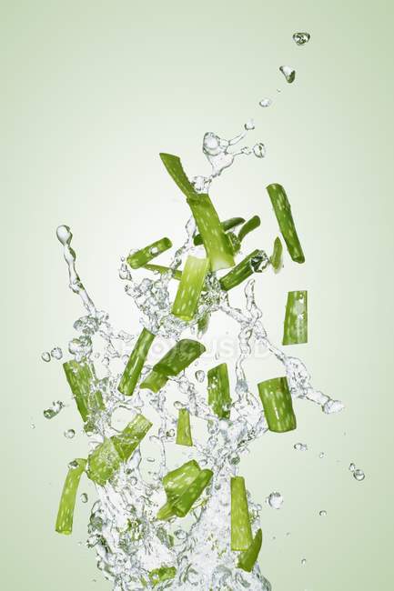 Aloe vera and water — Stock Photo