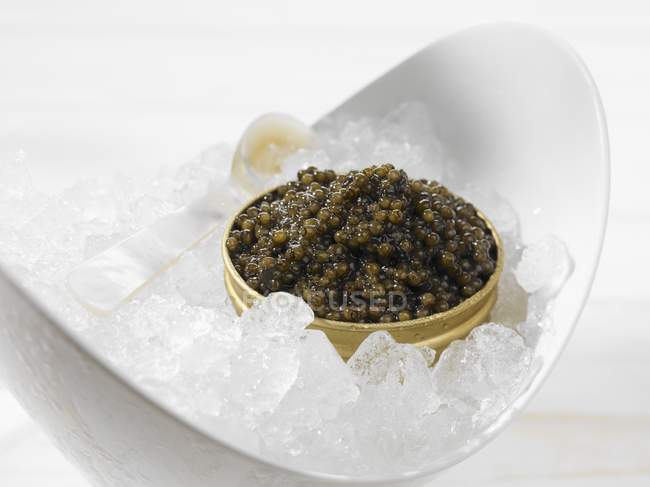 Caviar Beluga em tigela no gelo — Fotografia de Stock