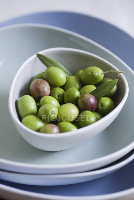 Olives fraîchement cueillies — Photo de stock