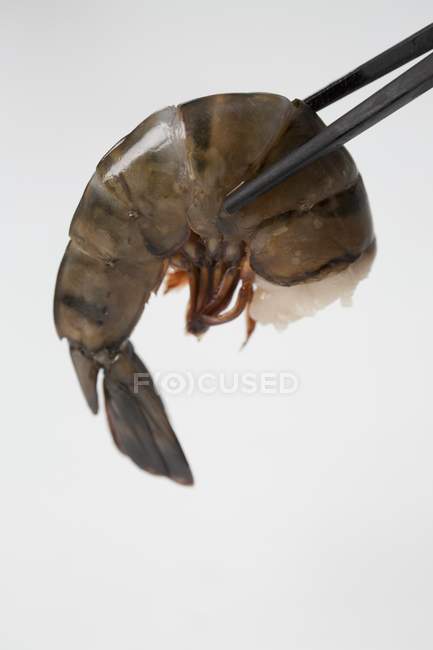 Vista de cerca de la cola de camarón crudo en palillos - foto de stock