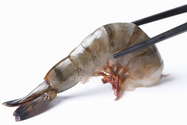 Closeup view of raw prawn tail in chopsticks — Stock Photo