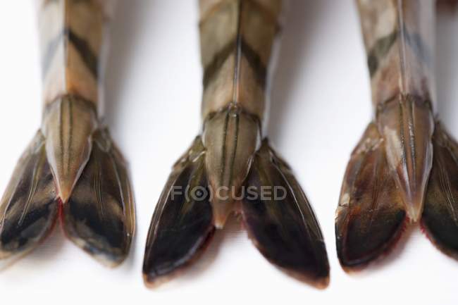 Vue rapprochée de trois queues de crevettes — Photo de stock