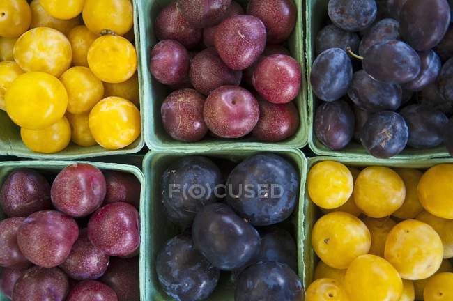 Prunes jaunes et rouges — Photo de stock