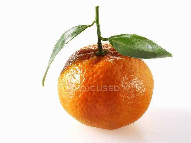 Mandarine orange avec feuilles — Photo de stock