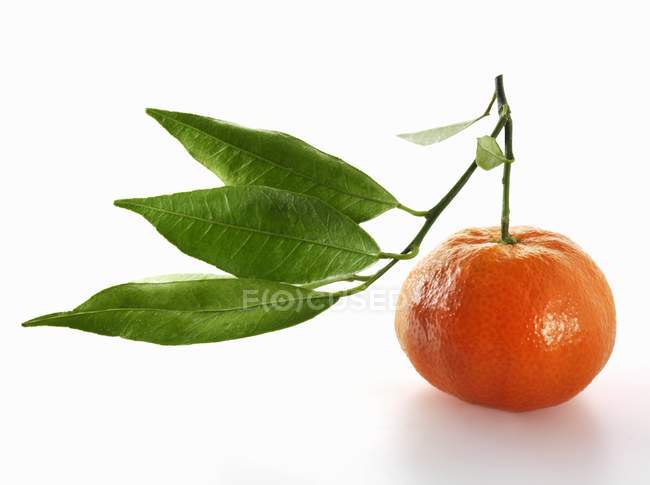 Мандарин апельсин з листям — стокове фото
