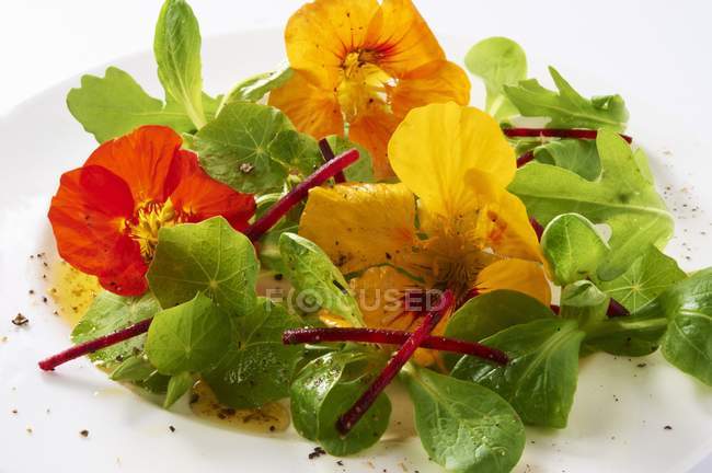 Вид крупным планом на листья салата с цветами настурция на белой тарелке — стоковое фото