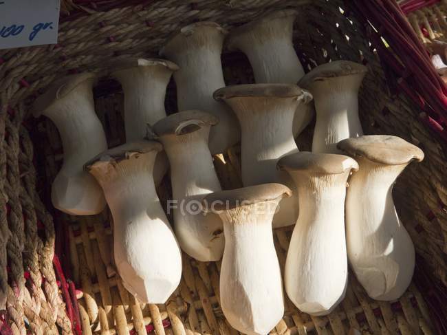 Корзина королевских устричных грибов — стоковое фото