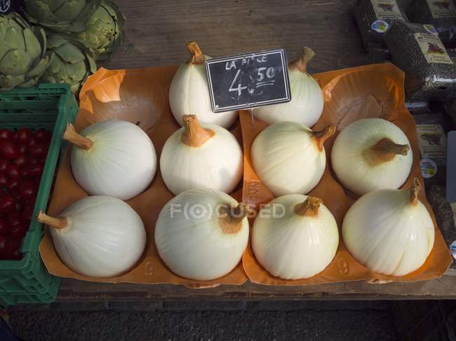 Cebollas gigantes suizas - foto de stock