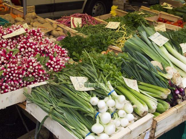 Vista elevada de diferentes verduras y hierbas en cajas con etiquetas - foto de stock