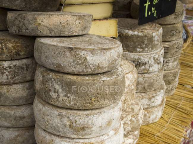 Käse aus der Region zur Schau gestellt — Stockfoto