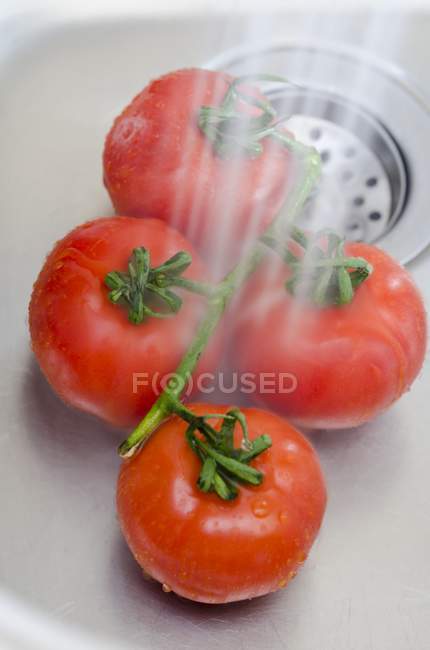 Lavagem de tomates vermelhos — Fotografia de Stock
