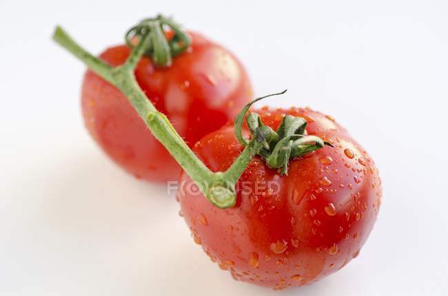 Dois tomates enxaguados com água — Fotografia de Stock