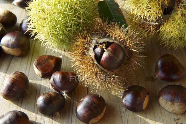 Chestnuts with spiny shell — Stock Photo