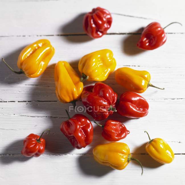 Red and yellow mini peppers — Stock Photo