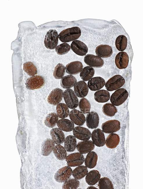 Grains de café en bloc de glace — Photo de stock