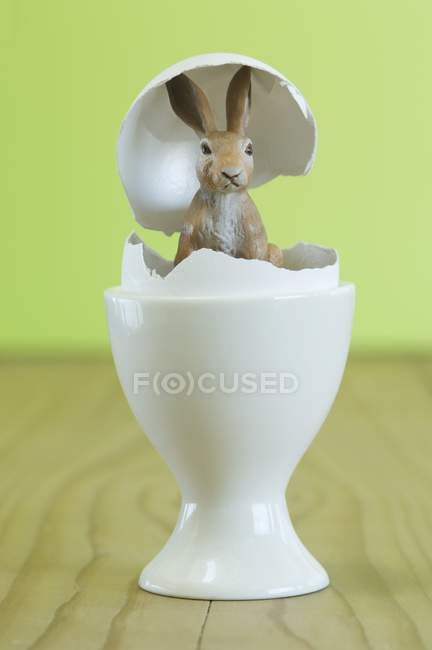 Крупним планом подання Пасхальний заєць в яйце оболонки — стокове фото