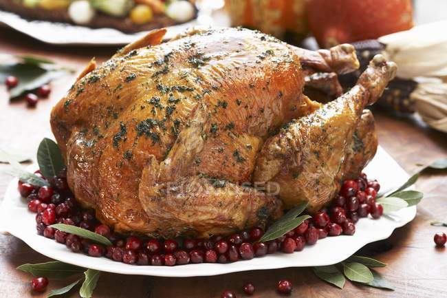 Whole Roast Turkey on a Platter — Stock Photo
